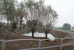  (link otworzy duże zdjęcie)