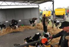  (link otworzy duże zdjęcie)