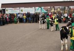  (link otworzy duże zdjęcie)