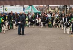  (link otworzy duże zdjęcie)