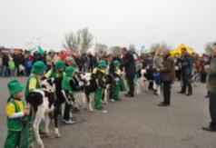  (link otworzy duże zdjęcie)