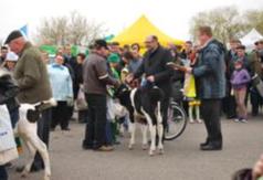  (link otworzy duże zdjęcie)