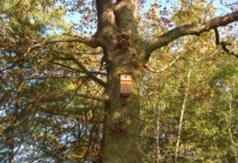  (link otworzy duże zdjęcie)