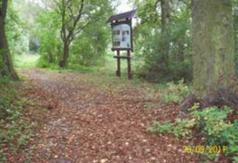  (link otworzy duże zdjęcie)