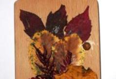  (link otworzy duże zdjęcie)