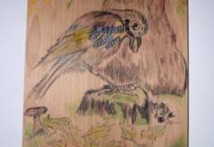  (link otworzy duże zdjęcie)