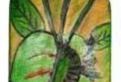  (link otworzy duże zdjęcie)