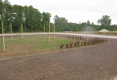  (link otworzy duże zdjęcie)