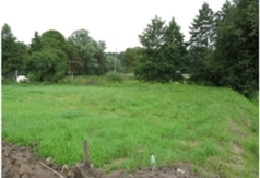  (link otworzy duże zdjęcie)