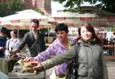  (link otworzy duże zdjęcie)