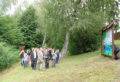  (link otworzy duże zdjęcie)