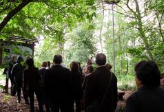  (link otworzy duże zdjęcie)