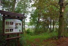  (link otworzy duże zdjęcie)