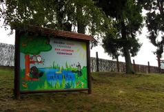  (link otworzy duże zdjęcie)