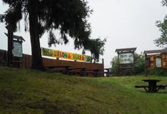  (link otworzy duże zdjęcie)