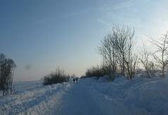  (link otworzy duże zdjęcie)