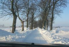  (link otworzy duże zdjęcie)