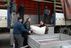  (link otworzy duże zdjęcie)