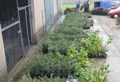  (link otworzy duże zdjęcie)