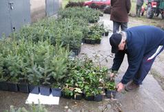  (link otworzy duże zdjęcie)