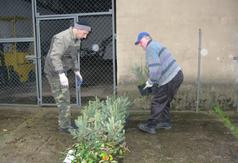  (link otworzy duże zdjęcie)