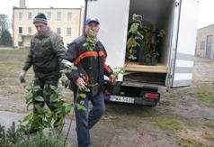  (link otworzy duże zdjęcie)