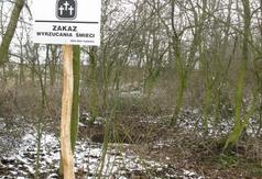  (link otworzy duże zdjęcie)