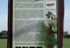  (link otworzy duże zdjęcie)