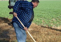  (link otworzy duże zdjęcie)