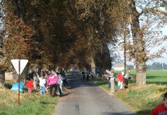  (link otworzy duże zdjęcie)