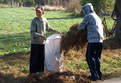  (link otworzy duże zdjęcie)