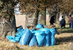  (link otworzy duże zdjęcie)