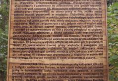  (link otworzy duże zdjęcie)