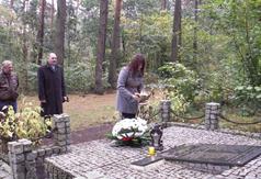  (link otworzy duże zdjęcie)