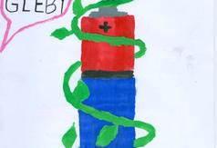  (link otworzy duże zdjęcie)