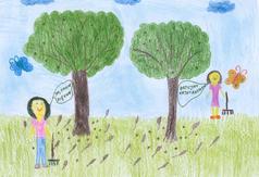  (link otworzy duże zdjęcie)