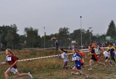  (link otworzy duże zdjęcie)