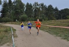  (link otworzy duże zdjęcie)