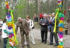  (link otworzy duże zdjęcie)