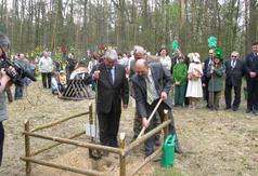  (link otworzy duże zdjęcie)