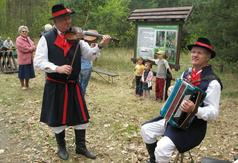  (link otworzy duże zdjęcie)