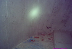  (link otworzy duże zdjęcie)