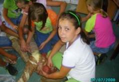  (link otworzy duże zdjęcie)