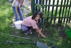  (link otworzy duże zdjęcie)