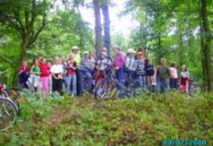  (link otworzy duże zdjęcie)