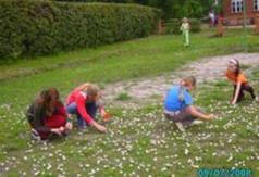  (link otworzy duże zdjęcie)