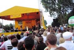  (link otworzy duże zdjęcie)