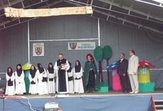  (link otworzy duże zdjęcie)