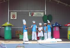  (link otworzy duże zdjęcie)