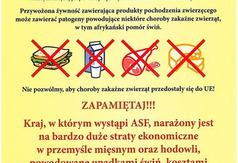  (link otworzy duże zdjęcie)